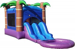 Tropical Combo 61gpRKBt5vL. AC SL1500 1683042484 Tropical Combo
